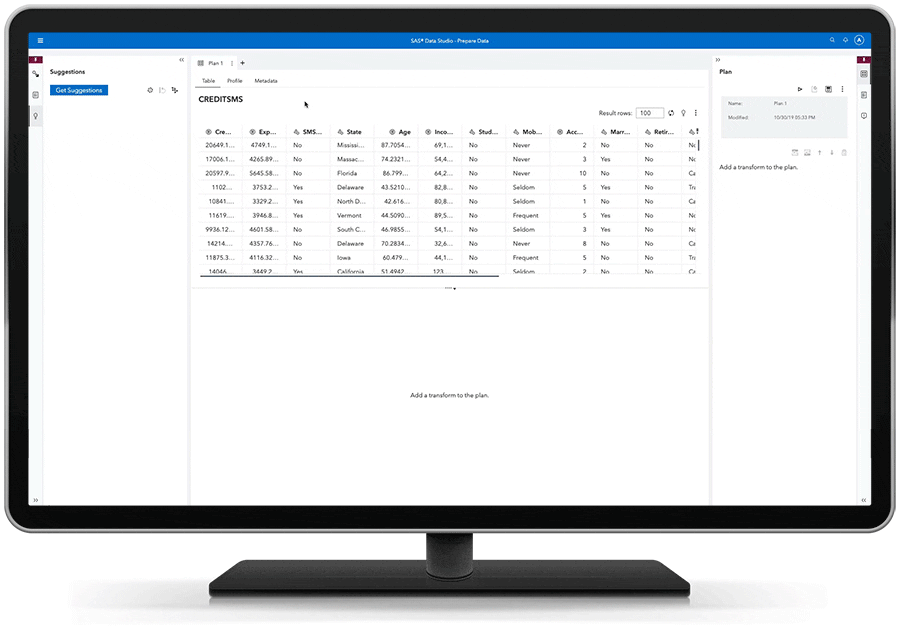 screenshot of SAS Visual Analytics